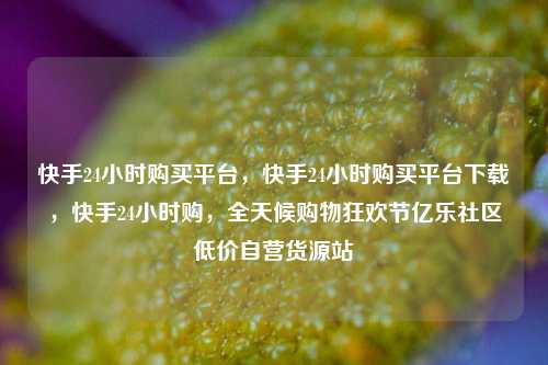 快手24小时购买平台，快手24小时购买平台下载	，快手24小时购，全天候购物狂欢节亿乐社区低价自营货源站  第1张