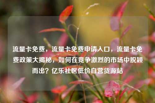 流量卡免费	，流量卡免费申请入口，流量卡免费政策大揭秘，如何在竞争激烈的市场中脱颖而出？亿乐社区低价自营货源站  第1张