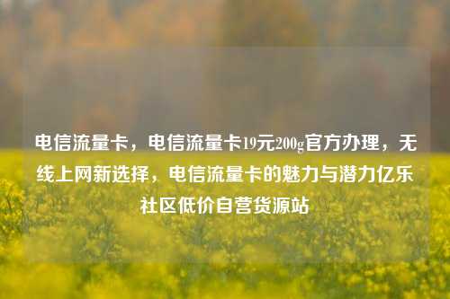 电信流量卡	，电信流量卡19元200g官方办理，无线上网新选择，电信流量卡的魅力与潜力亿乐社区低价自营货源站  第1张