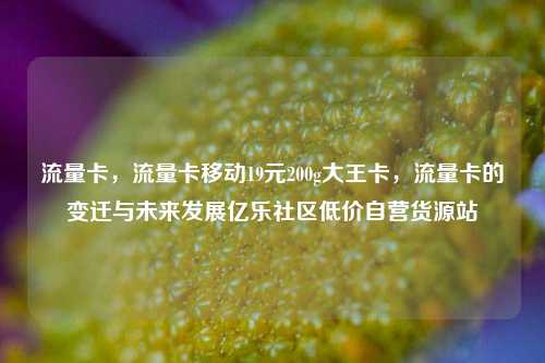 流量卡，流量卡移动19元200g大王卡，流量卡的变迁与未来发展亿乐社区低价自营货源站  第1张