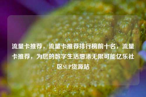 流量卡推荐，流量卡推荐排行榜前十名，流量卡推荐	，为您的数字生活增添无限可能亿乐社区SUP货源站  第1张