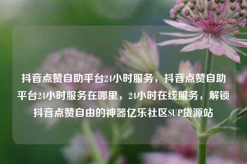 抖音点赞自助平台24小时服务，抖音点赞自助平台24小时服务在哪里	，24小时在线服务，解锁抖音点赞自由的神器亿乐社区SUP货源站  第1张