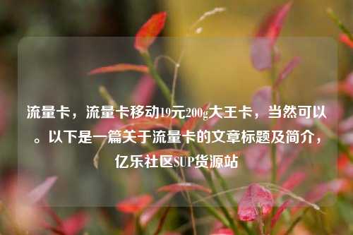 流量卡	，流量卡移动19元200g大王卡，当然可以。以下是一篇关于流量卡的文章标题及简介，亿乐社区SUP货源站  第1张