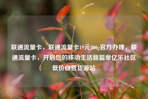 联通流量卡，联通流量卡19元200g官方办理	，联通流量卡，开启您的移动生活新篇章亿乐社区低价自营货源站  第1张