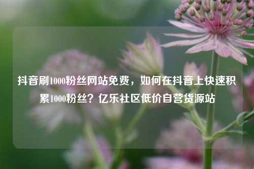 抖音刷1000粉丝网站免费，如何在抖音上快速积累1000粉丝？亿乐社区低价自营货源站  第1张