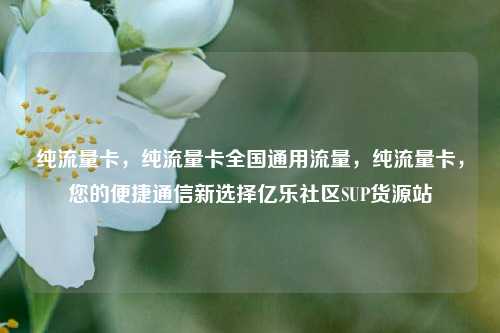 纯流量卡	，纯流量卡全国通用流量，纯流量卡，您的便捷通信新选择亿乐社区SUP货源站  第1张