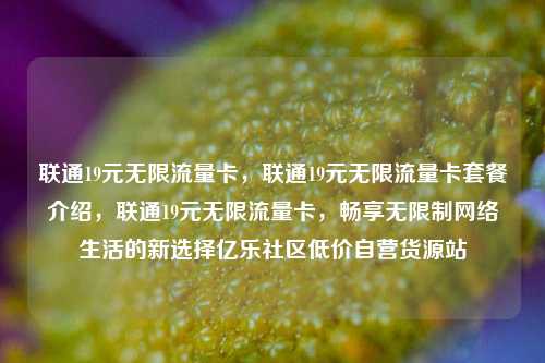 联通19元无限流量卡	，联通19元无限流量卡套餐介绍，联通19元无限流量卡，畅享无限制网络生活的新选择亿乐社区低价自营货源站  第1张