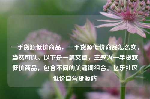 一手货源低价商品，一手货源低价商品怎么卖，当然可以。以下是一篇文章	，主题为一手货源低价商品，包含不同的关键词组合	。亿乐社区低价自营货源站  第1张