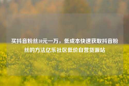 买抖音粉丝10元一万	，低成本快速获取抖音粉丝的方法亿乐社区低价自营货源站  第1张
