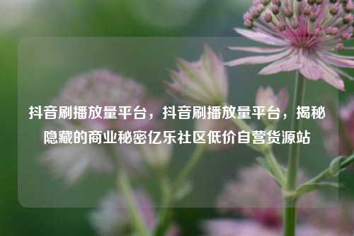 抖音刷播放量平台，抖音刷播放量平台，揭秘隐藏的商业秘密亿乐社区低价自营货源站  第1张