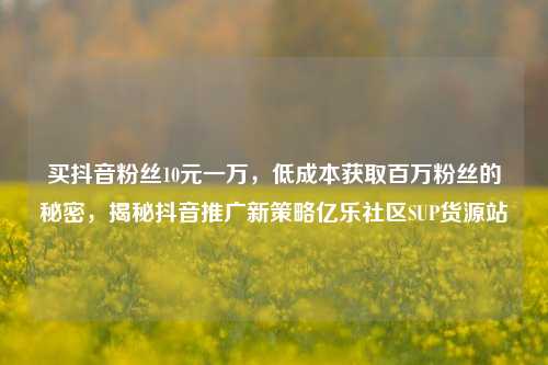 买抖音粉丝10元一万	，低成本获取百万粉丝的秘密，揭秘抖音推广新策略亿乐社区SUP货源站  第1张