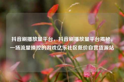 抖音刷播放量平台	，抖音刷播放量平台揭秘，一场流量操控的游戏亿乐社区低价自营货源站  第1张