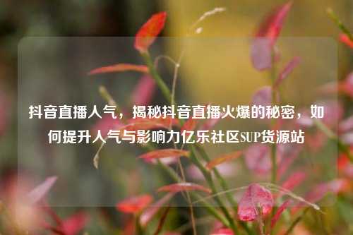 抖音直播人气，揭秘抖音直播火爆的秘密，如何提升人气与影响力亿乐社区SUP货源站  第1张
