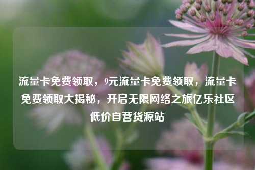 流量卡免费领取	，9元流量卡免费领取，流量卡免费领取大揭秘，开启无限网络之旅亿乐社区低价自营货源站  第1张