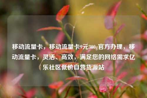 移动流量卡，移动流量卡9元300g官方办理	，移动流量卡，灵活、高效，满足您的网络需求亿乐社区低价自营货源站  第1张