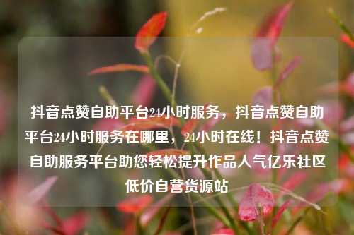 抖音点赞自助平台24小时服务，抖音点赞自助平台24小时服务在哪里	，24小时在线！抖音点赞自助服务平台助您轻松提升作品人气亿乐社区低价自营货源站  第1张