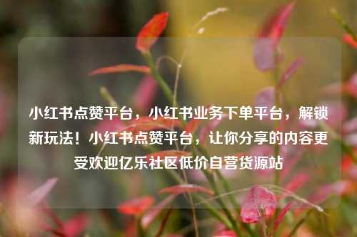 小红书点赞平台，小红书业务下单平台，解锁新玩法！小红书点赞平台	，让你分享的内容更受欢迎亿乐社区低价自营货源站  第1张