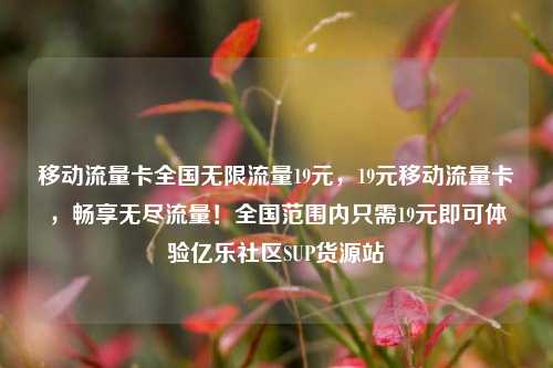 移动流量卡全国无限流量19元	，19元移动流量卡，畅享无尽流量！全国范围内只需19元即可体验亿乐社区SUP货源站  第1张