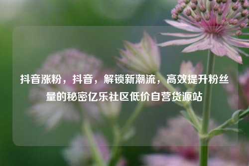 抖音涨粉，抖音，解锁新潮流	，高效提升粉丝量的秘密亿乐社区低价自营货源站  第1张